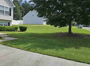 Samuel S.'s Lawn Service service result