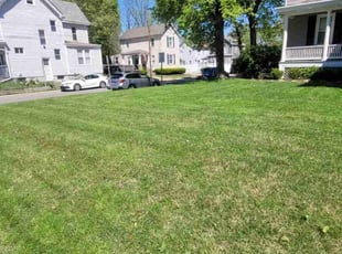 Adrian D.'s Lawn Service service result