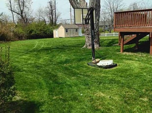 Marc P.'s Lawn Maintenance service result