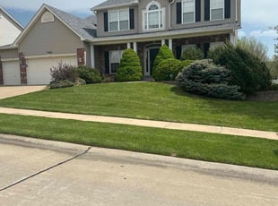 Terry S.'s Lawn Service service result