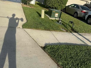 Rafiqul R.'s Lawn Mowing service result