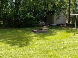 Dianne R.'s Lawn Care service result