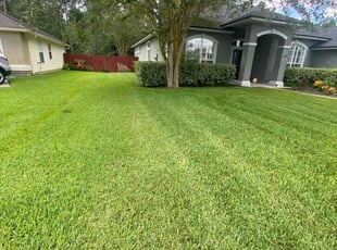 Patrick K.'s Yard Cutting service result