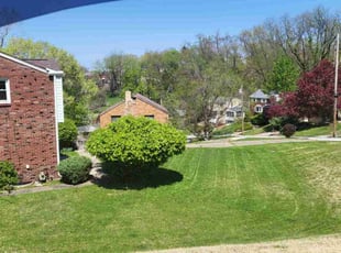 Allison S.'s Grass Cutting service result