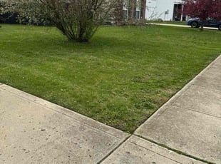 Jessica O.'s Lawn Mowing service result