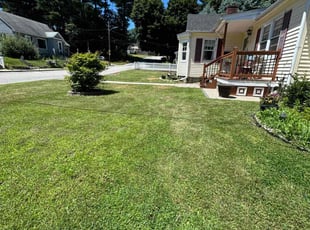 Dewayne W.'s Lawn Service service result