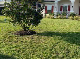 Loretta B.'s Lawn Maintenance service result