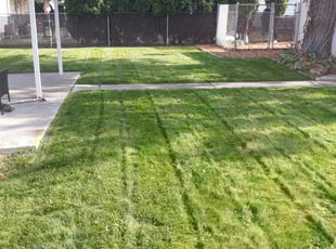 Cleanups by Nick Yerxa (DELETED ACCOUNT) for Makayla S. in Spokane, WA