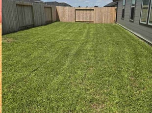 Samar S.'s Lawn Care service result