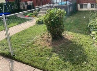 Bush Trimming by Samuel Jordon for Alicia W. in Baltimore, MD