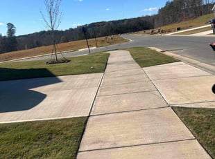 Renee A.'s Lawn Maintenance service result