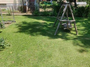 Andrew S.'s Grass Cutting service result