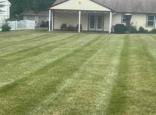 Carol T.'s Lawn Care service result
