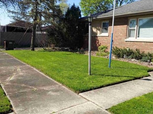 Georgianne G.'s Lawn Care service result