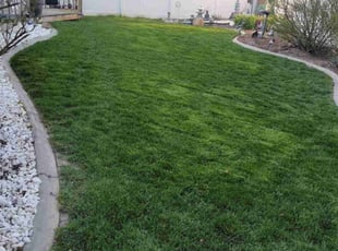 Gerri H.'s Lawn Maintenance service result