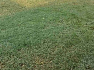 Cleanups by Ernest Howard for Kimberley P. in Frisco, TX