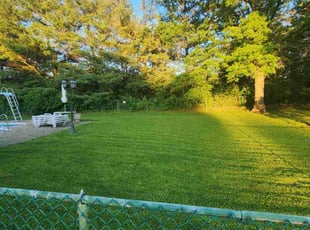 Charlot F.'s Yard Cutting service result