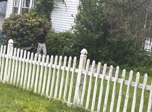 Bush Trimming by Johnny Canales for Eileen L. in Waterbury, CT