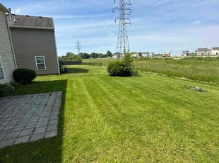 Misty Z.'s Grass Cutting service result