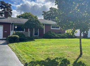 Philip M.'s Lawn Maintenance service result