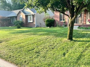 Ebony H.'s Yard Cutting service result