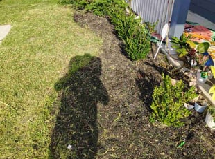 Weeding by Alma Nava for Rebekah A. in Conroe, TX