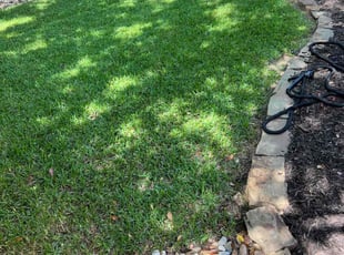 Beatrice G.'s Lawn Mowing service result