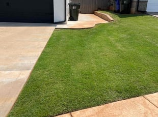 Alex W.'s Lawn Mowing service result