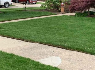 Judith K.'s Lawn Mowing Service service result