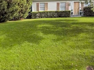 Laurence M.'s Lawn Service service result
