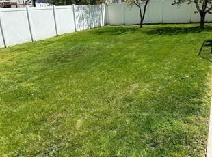 Ammar I.'s Lawn Mowing Service service result