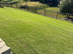 Eric E.'s Yard Cutting service result