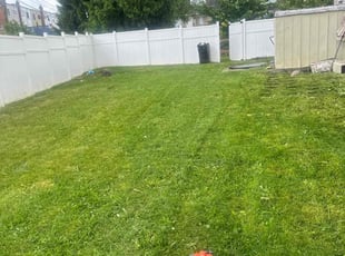 Jeremy Z.'s Lawn Mowing service result