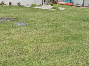 Jenny L.'s Lawn Service service result