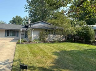 Kathy C.'s Yard Cutting service result