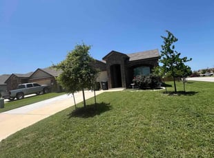 Lynn S.'s Grass Cutting service result