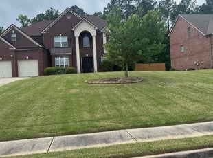 Shakina S.'s Yard Cutting service result