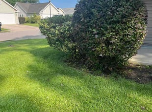 Michael M.'s Lawn Care service result