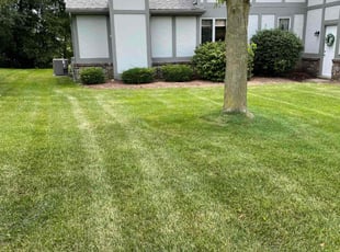 Kim O.'s Lawn Care service result