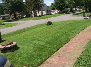 Celeste H.'s Lawn Mowing Service service result