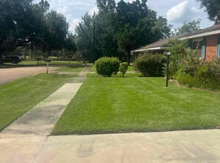 Brittany M.'s Lawn Care service result