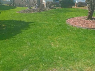Philip M.'s Lawn Care service result