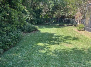 Mary M.'s Lawn Mowing service result