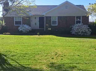 Justine J.'s Lawn Mowing service result
