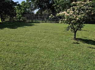 Alex G.'s Lawn Mowing service result