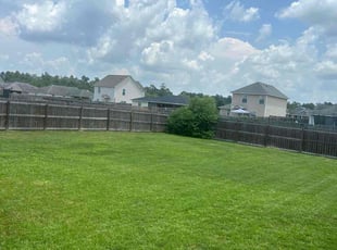 Kathy W.'s Lawn Mowing service result