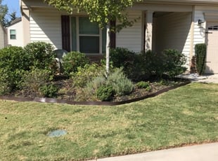 Bush Trimming by Randal Boyce for Hannah H. in Simpsonville, SC