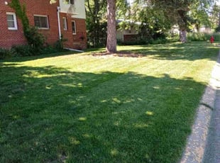 steve t.'s Lawn Service service result