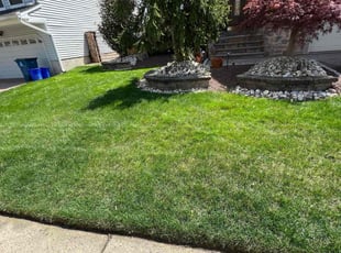 Karen R.'s Lawn Service service result