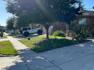 Linda F.'s Lawn Mowing service result